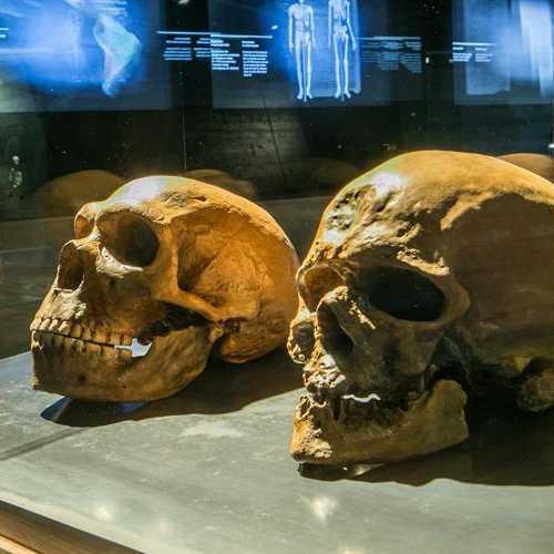 P101 Jižní Morava (2 dny)